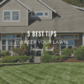 5 Best Tips to Keep Your Lawn Looking Great