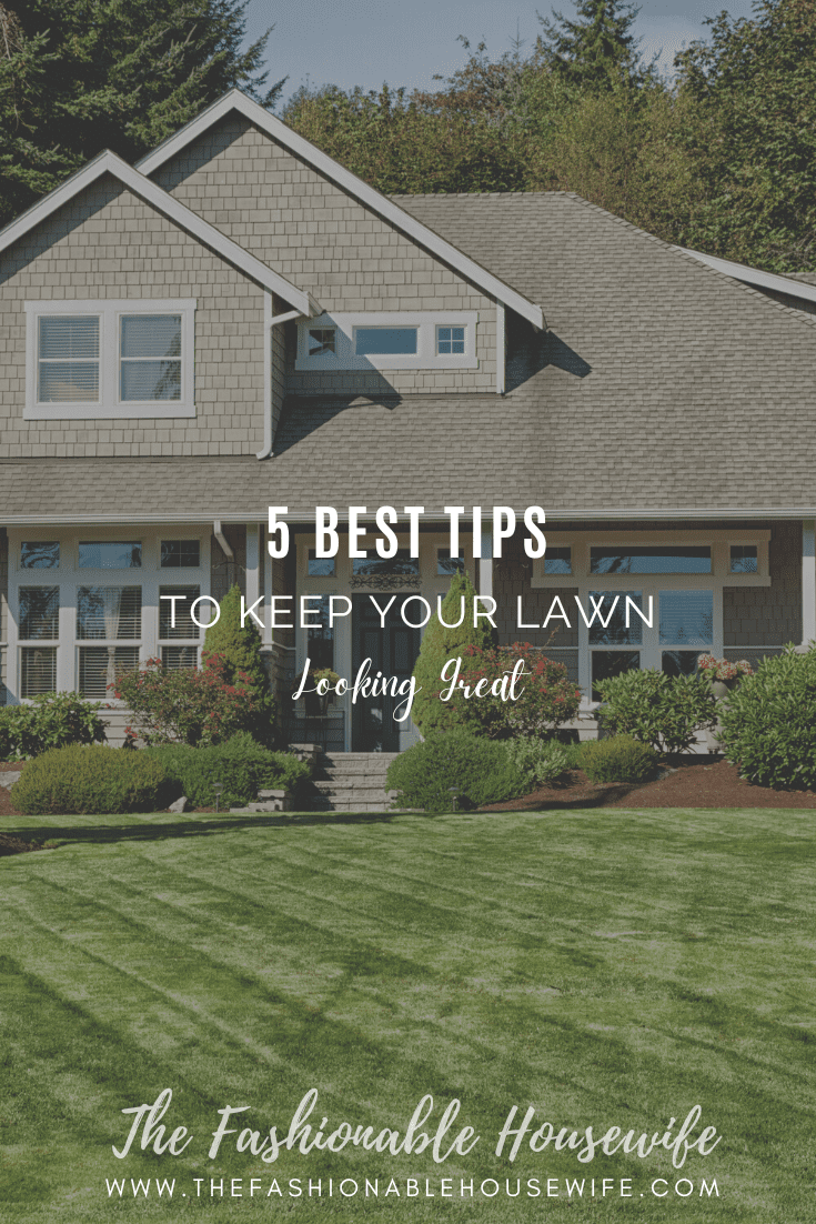 5 Best Tips to Keep Your Lawn Looking Great