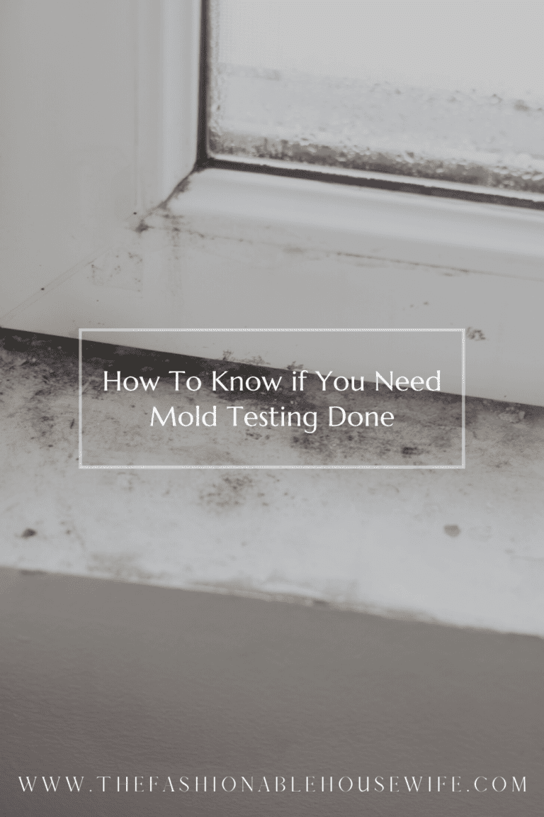 How To Know if You Need Mold Testing Done