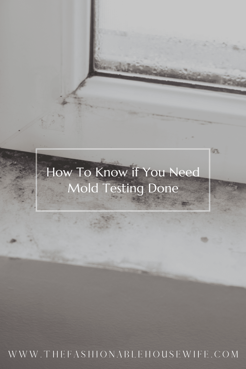 How To Know if You Need Mold Testing Done