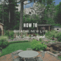 How to Breathe New Life into Your Backyard