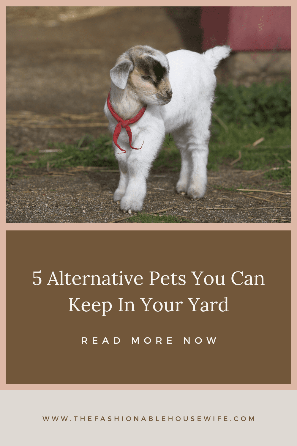 5 Alternative Pets You Can Keep In Your Yard