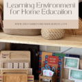 Designing the Perfect Learning Environment for Home Education
