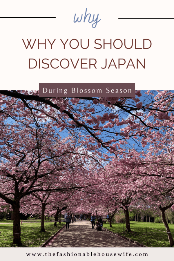 Why You Should Discover Japan During Blossom Season