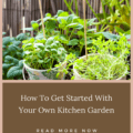 How To Get Started With Your Own Kitchen Garden