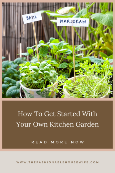 How To Get Started With Your Own Kitchen Garden