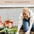 How To Get Started on Spring Gardening!