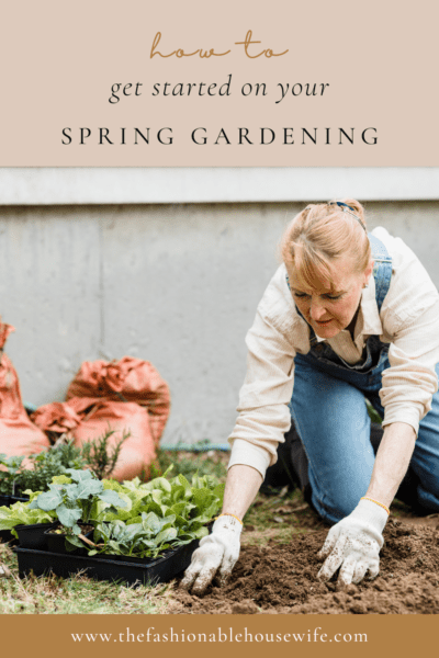 How To Get Started on Spring Gardening!