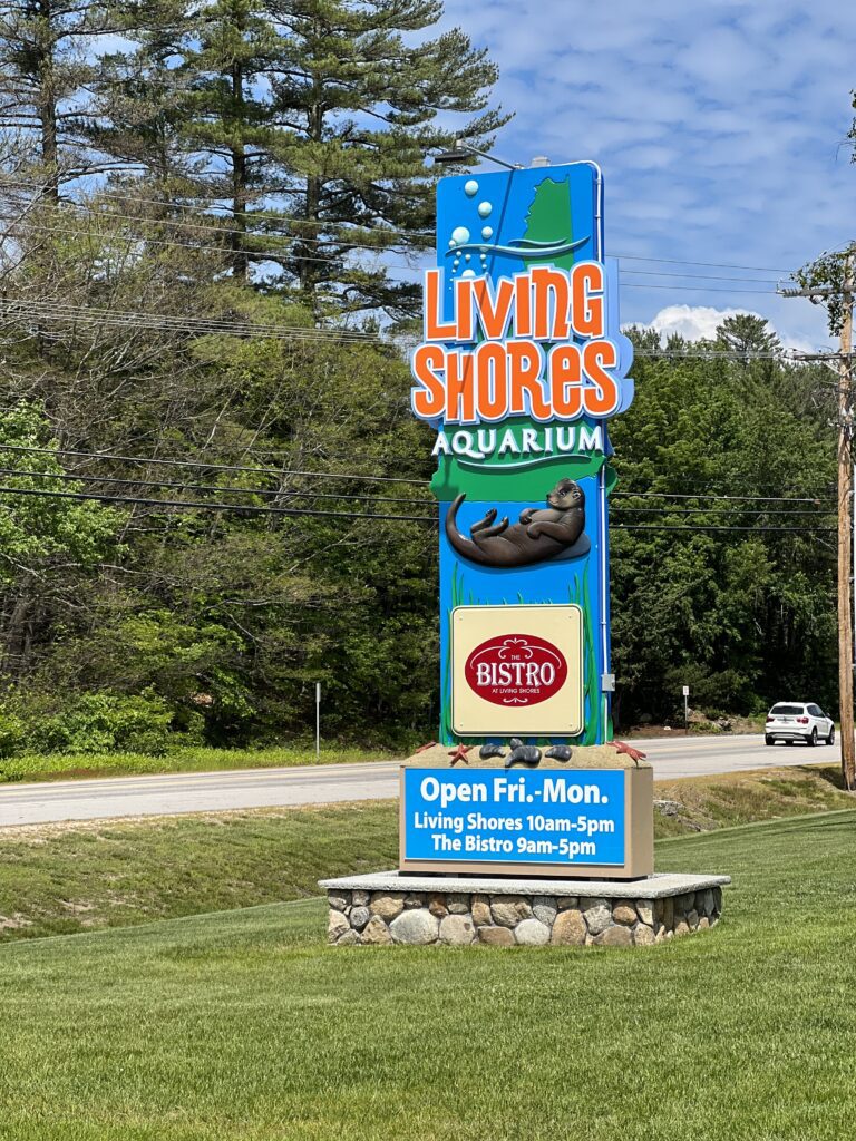 A Memorable Adventure at Living Shores Aquarium: Unleashing the Wonders of Nature for Our Kids