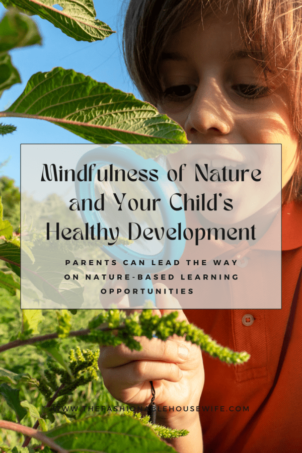 Mindfulness of Nature and Your Child’s Healthy Development: Parents Can Lead the Way on Nature-Based Learning Opportunities