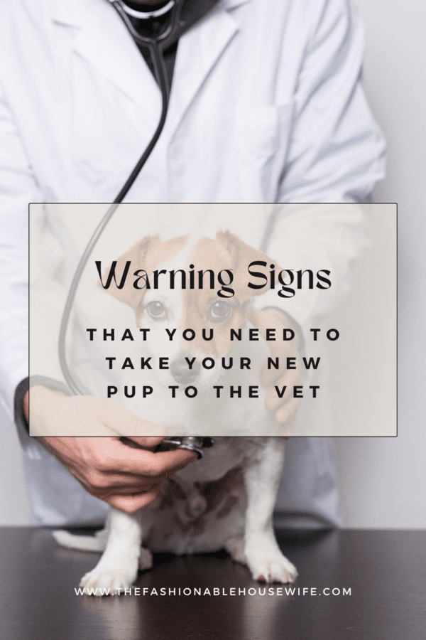 Warning Signs You Need To Take Your New Pup To The Vet