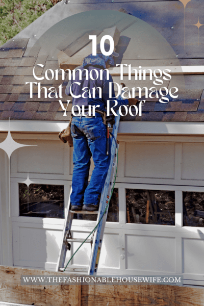 10 Common Things That Can Damage Your Roof