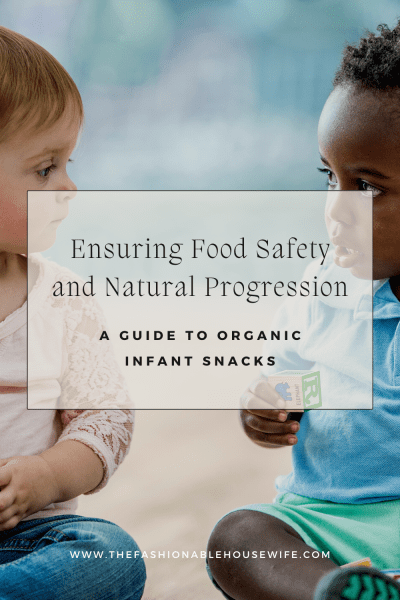 Ensuring Food Safety and Natural Progression: A Guide to Organic Infant Snacks
