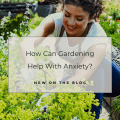 How Can Gardening Help With Anxiety?