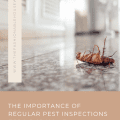 The Importance of Regular Pest Inspections for Your Home