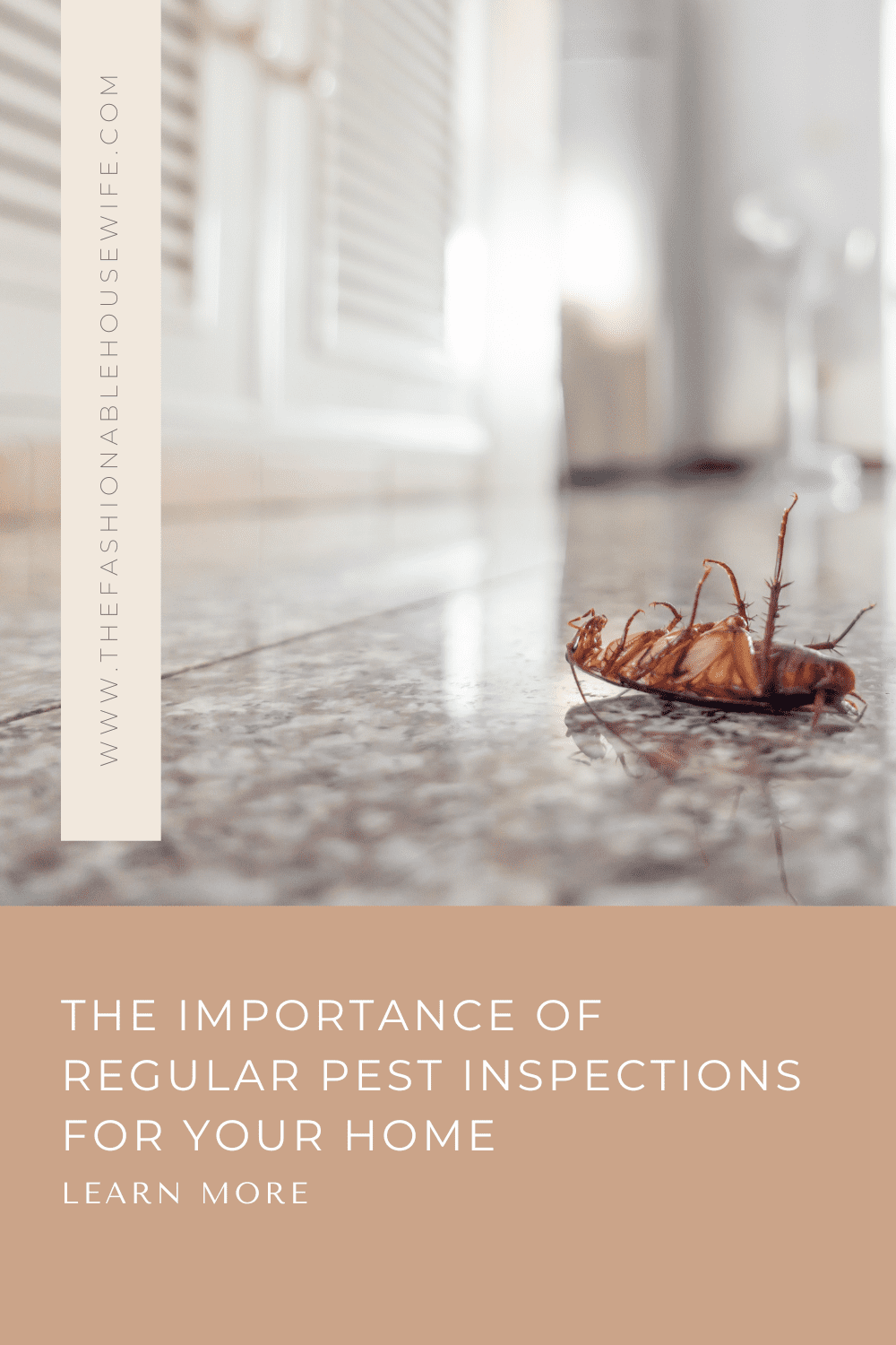 The Importance of Regular Pest Inspections for Your Home