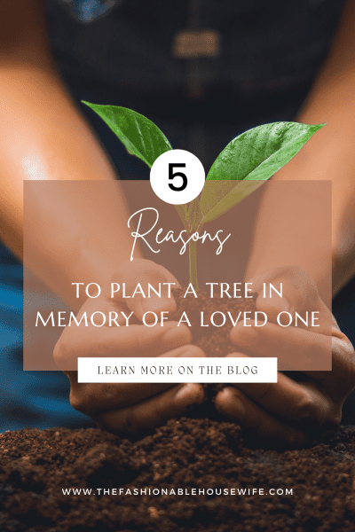 Top 5 Reasons To Plant A Tree In Memory Of A Loved One