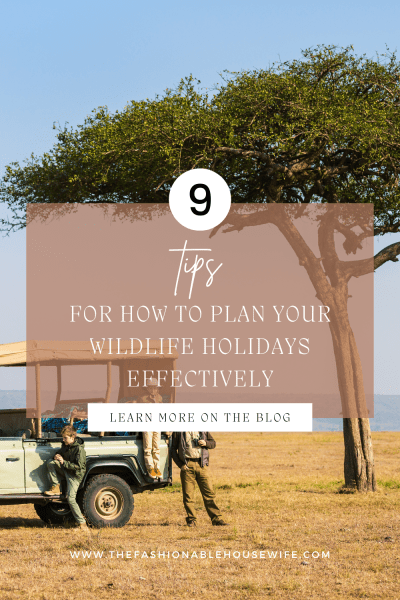 9 Tips on How to Plan Your Wildlife Holidays Effectively