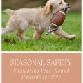 Seasonal Safety for Pets: Navigating Year-Round Hazards