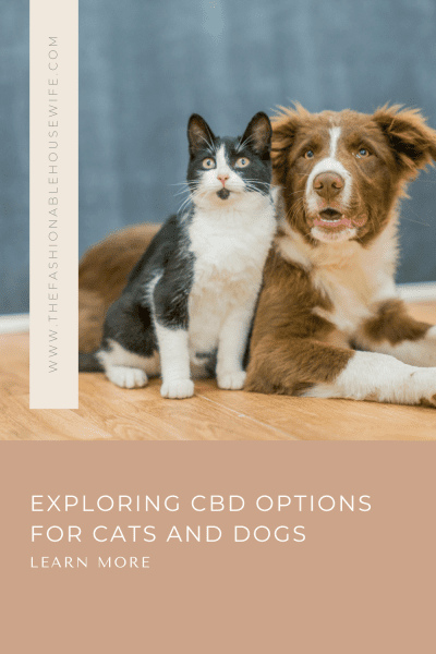 Exploring CBD Options for Cats and Dogs