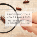 Protecting Your Home from Pests: Why Pest Exterminators in Orlando Are Essential