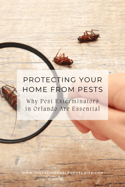 Protecting Your Home from Pests: Why Pest Exterminators in Orlando Are Essential