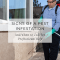 Signs of a Pest Infestation: When to Call for Professional Help