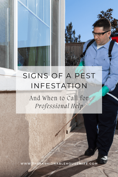 Signs of a Pest Infestation: When to Call for Professional Help