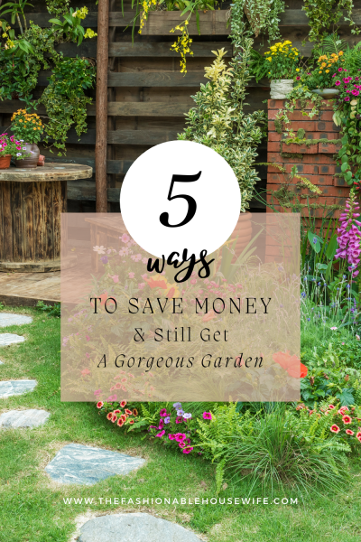 5 Ways To Save Money & Still Get A Gorgeous Garden