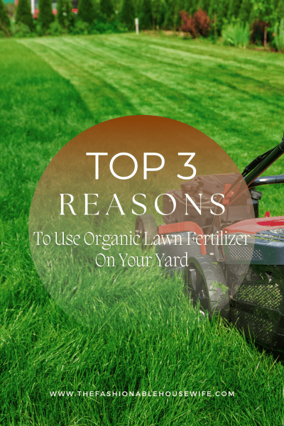 Top 3 Reasons To Use Organic Lawn Fertilizer On Your Yard