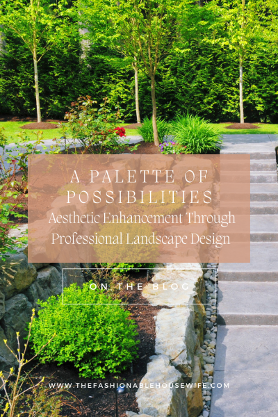 A Palette of Possibilities: Aesthetic Enhancement Through Professional Landscape Design