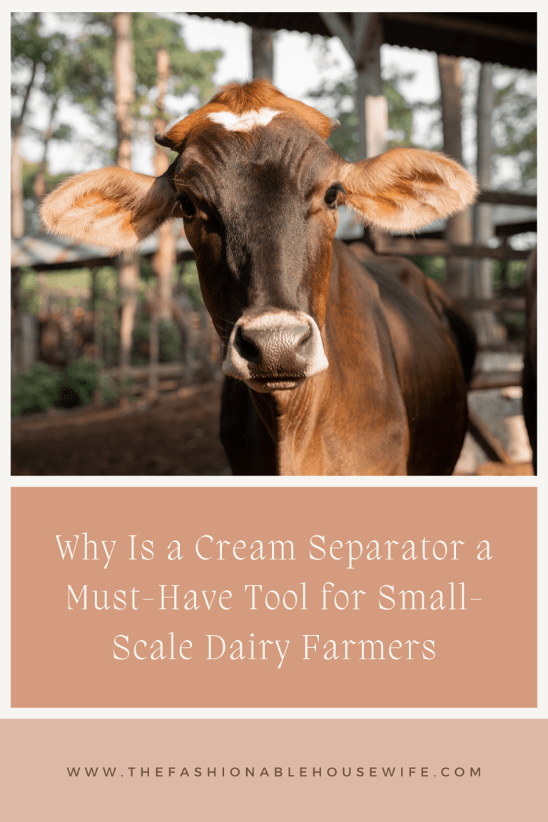 Why Is a Cream Separator a Must-Have Tool for Small-Scale Dairy Farmers