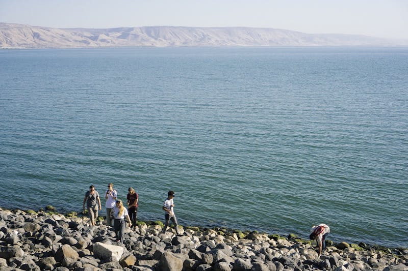 People Walking on Seashore