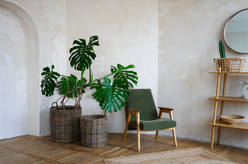 Elevating Your Living Space: The Art and Science of Home Decor