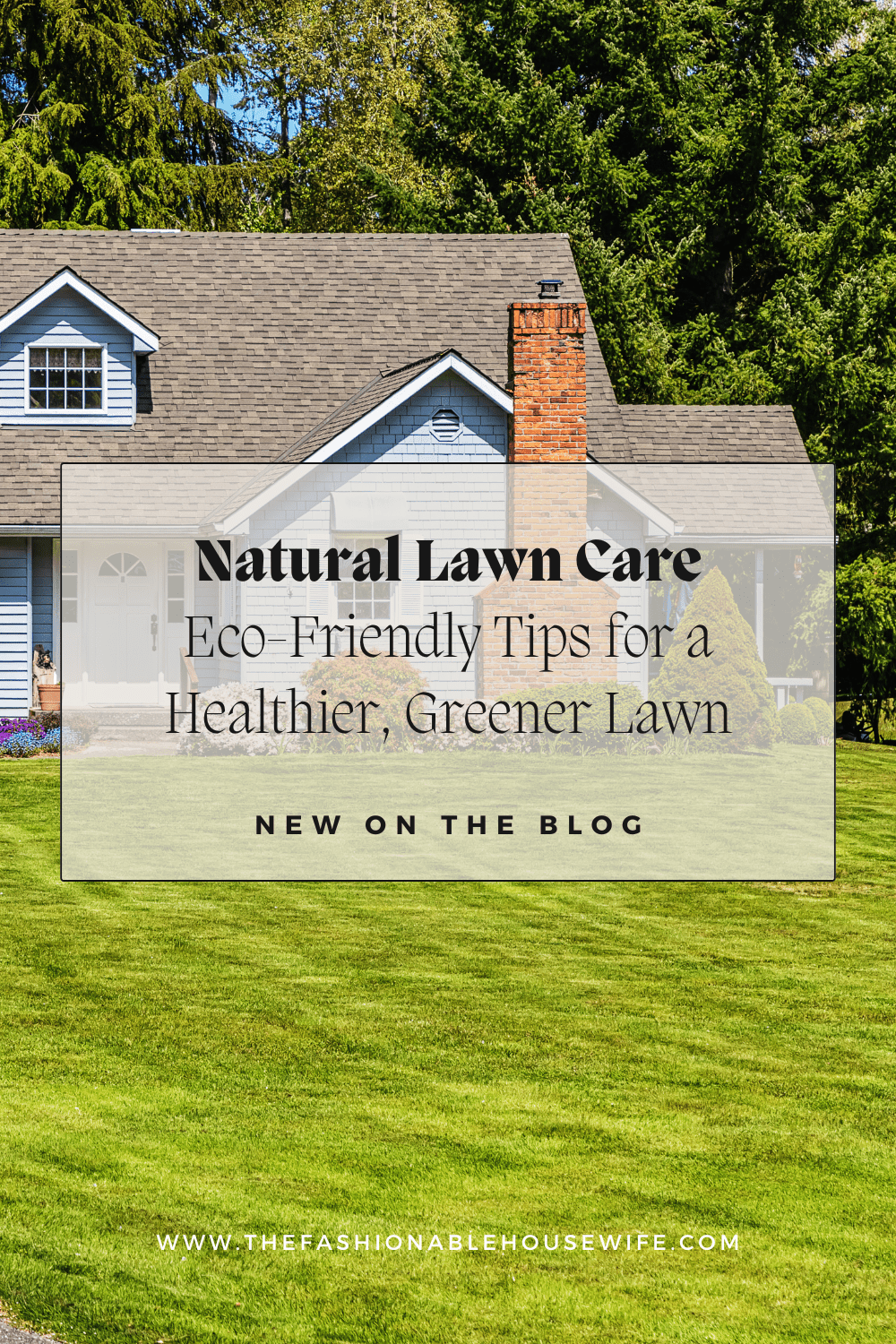 Natural Lawn Care: Eco-Friendly Tips for a Healthier, Greener Lawn