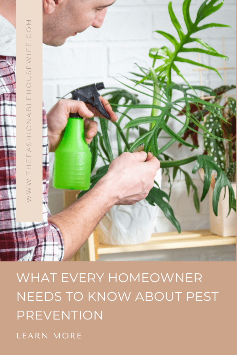 What Every Homeowner Needs to Know About Pest Prevention