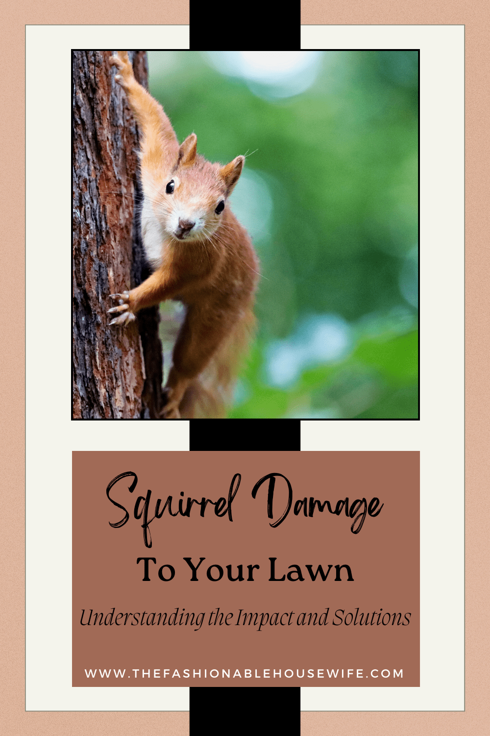 Squirrel Damage to Lawn: Understanding the Impact and Solutions