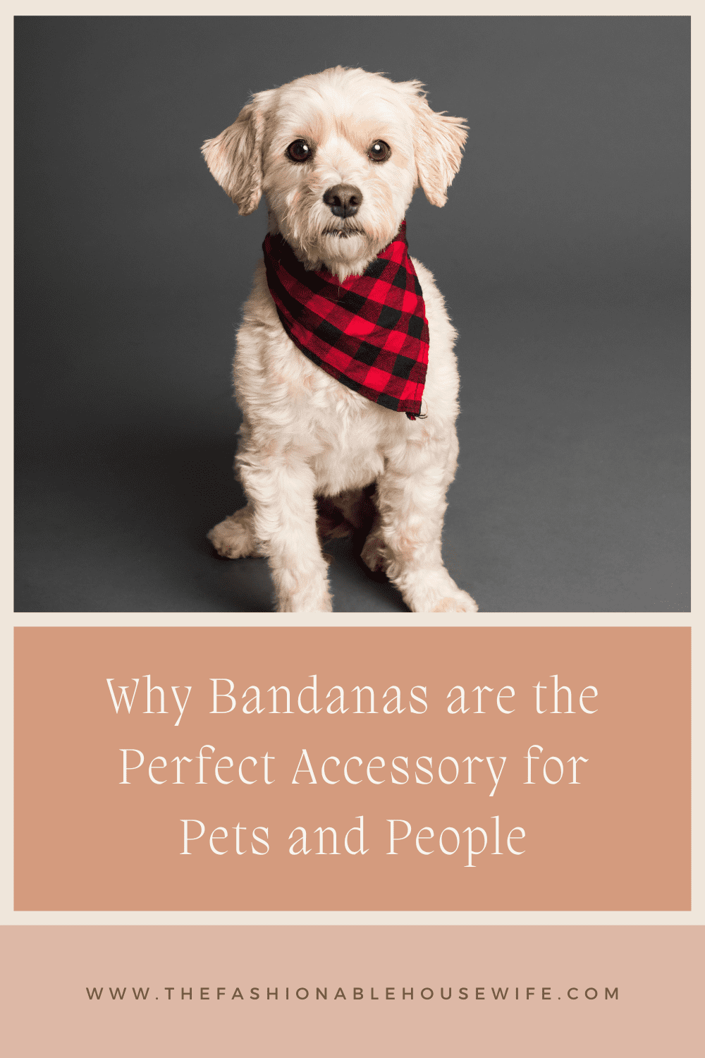 Why Bandanas are the Perfect Accessory for Pets and People