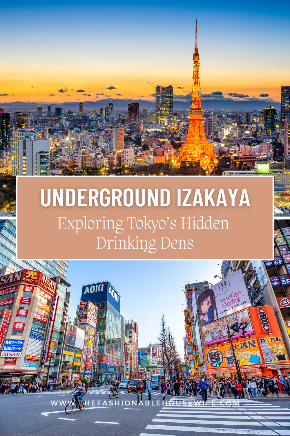 Underground Izakaya: Exploring Tokyo’s Hidden Drinking Dens
