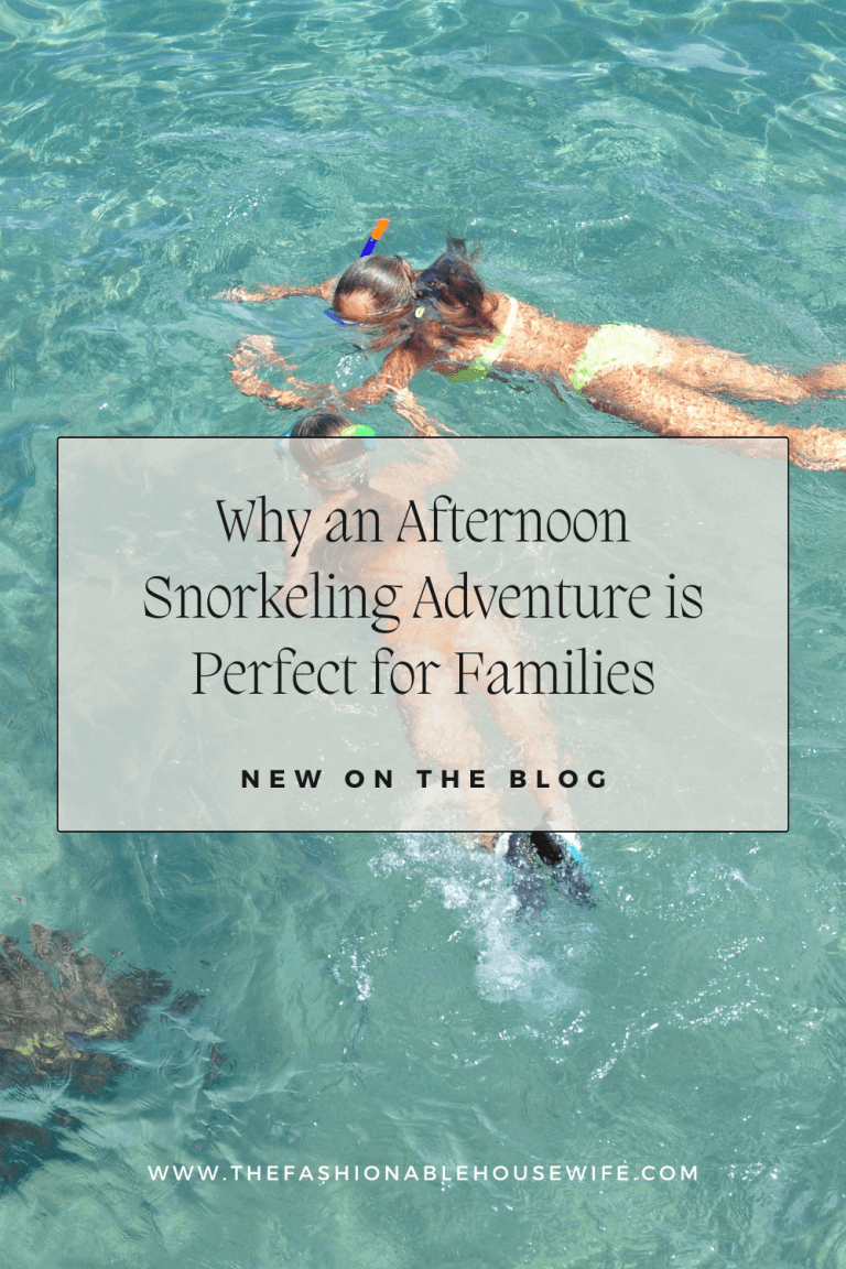 Why an Afternoon Snorkeling Adventure is Perfect for Families