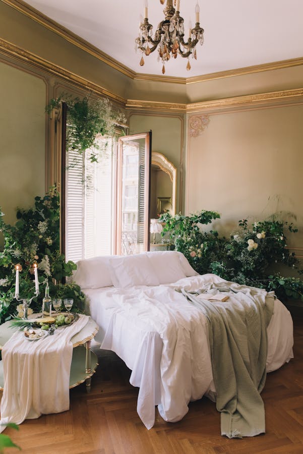 what is sleepmaxxing - Luxurious vintage bedroom with elegant decor, indoor plants, and soft natural lighting.