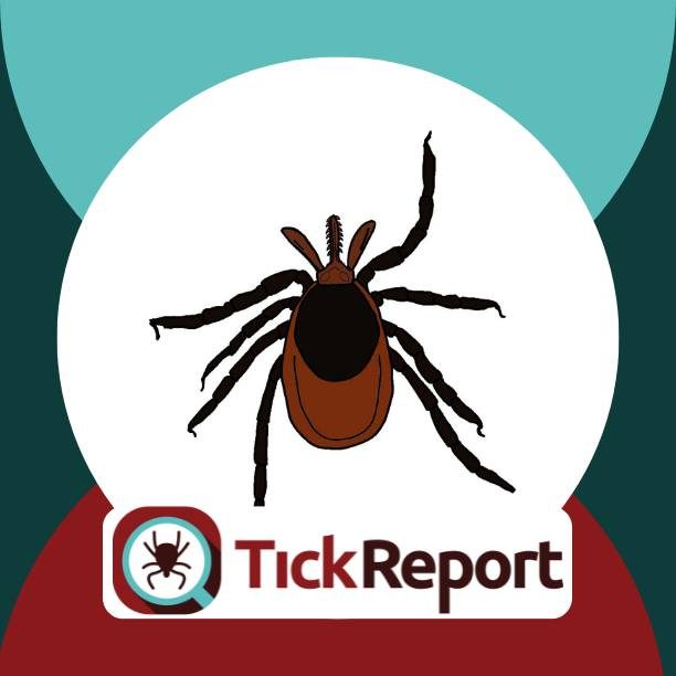 tick report