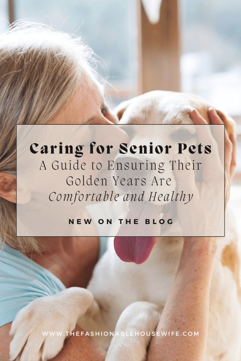 Caring for Senior Pets: A Guide to Ensuring Their Golden Years Are Comfortable and Healthy