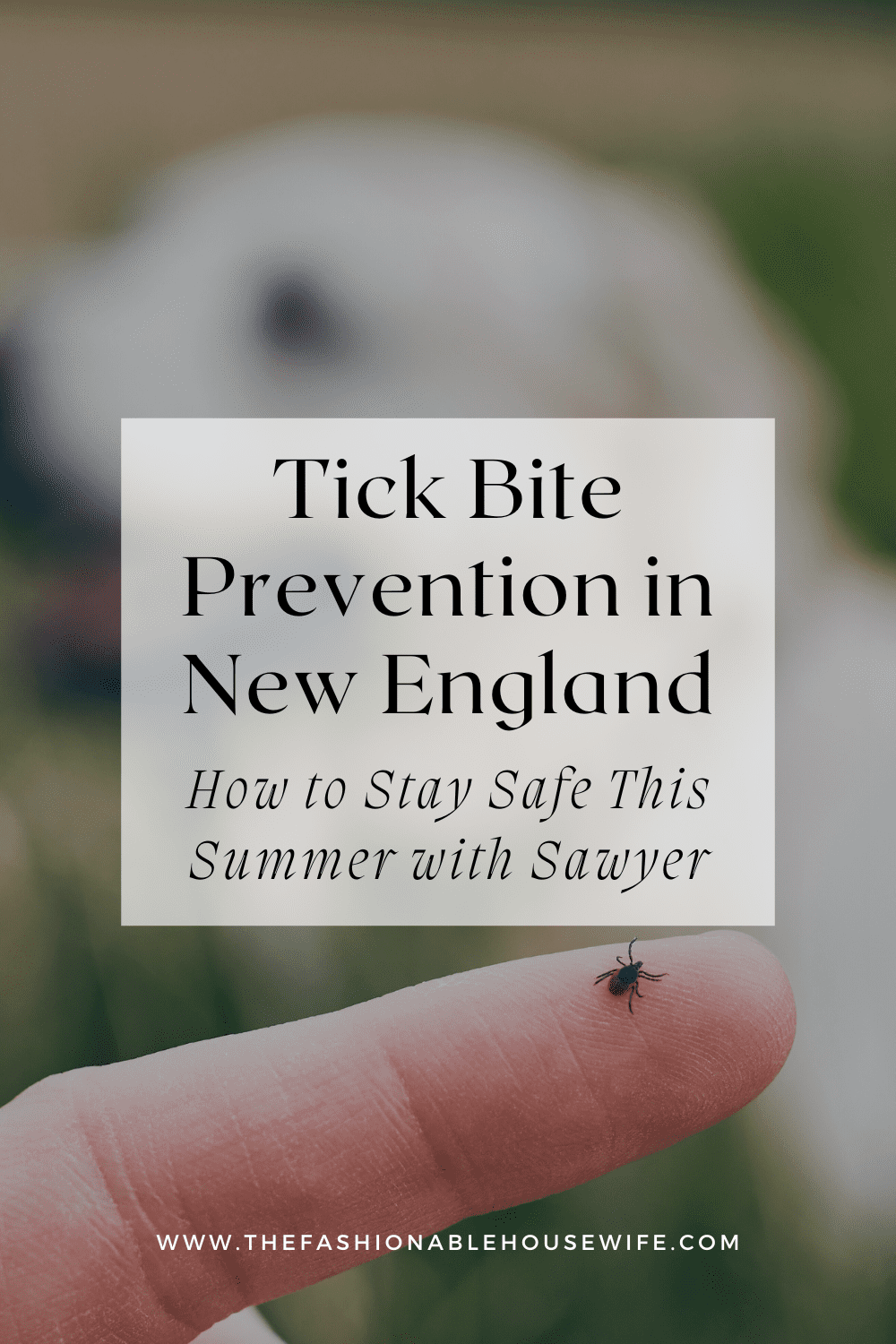 Tick Bite Prevention in New England: How to Stay Safe This Summer with Sawyer