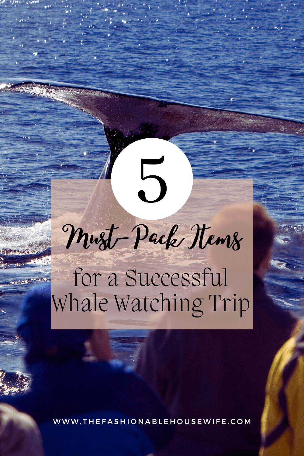 5 Must-Pack Items for a Successful Whale Watching Trip
