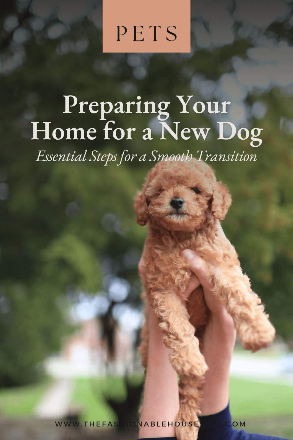 Preparing Your Home for a New Dog: Essential Steps for a Smooth Transition