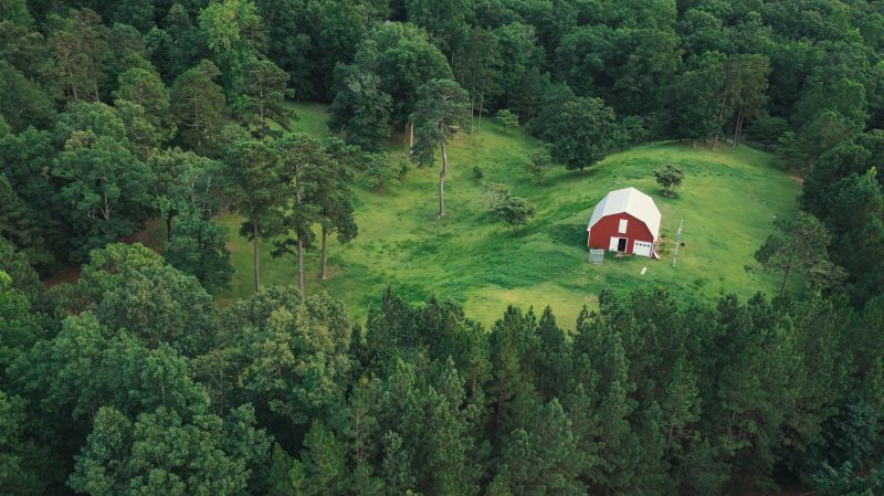 Need a Fresh Start? 10 Reasons Why You’ll Love Living in Opelika