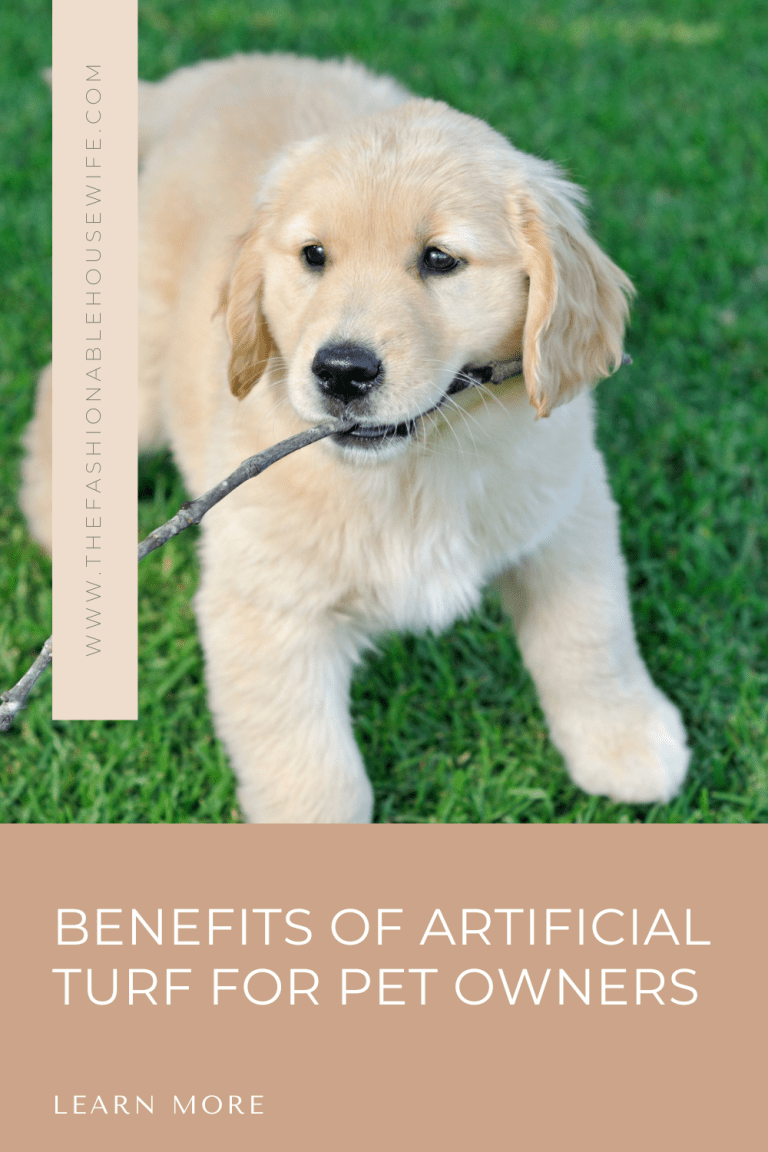 Benefits of Artificial Turf for Pet Owners