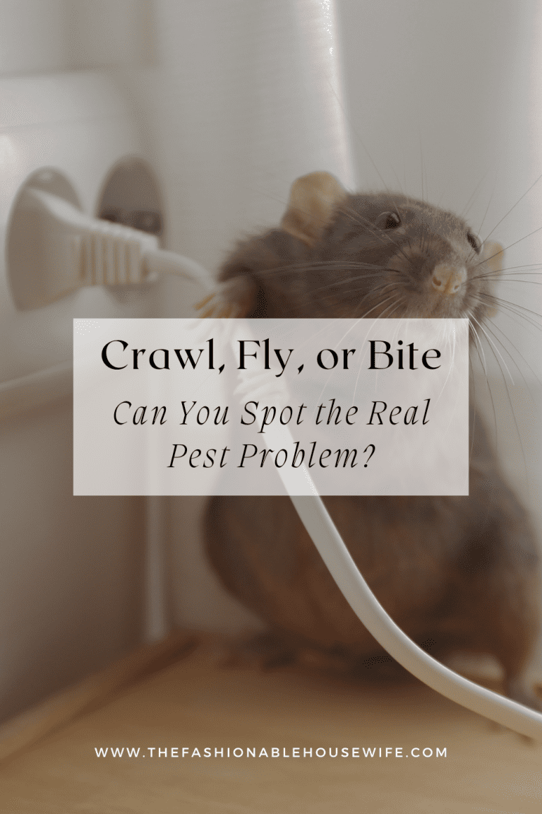 Crawl, Fly, or Bite: Can You Spot the Real Pest Problem?