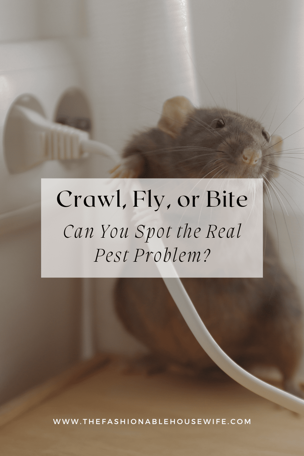 Crawl, Fly, or Bite: Can You Spot the Real Pest Problem?
